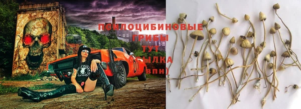 бошки Медногорск