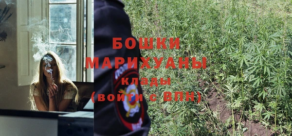 гидропоника Ачинск