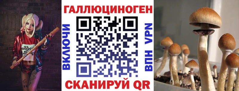 наркота  Сургут  Псилоцибиновые грибы Magic Shrooms 