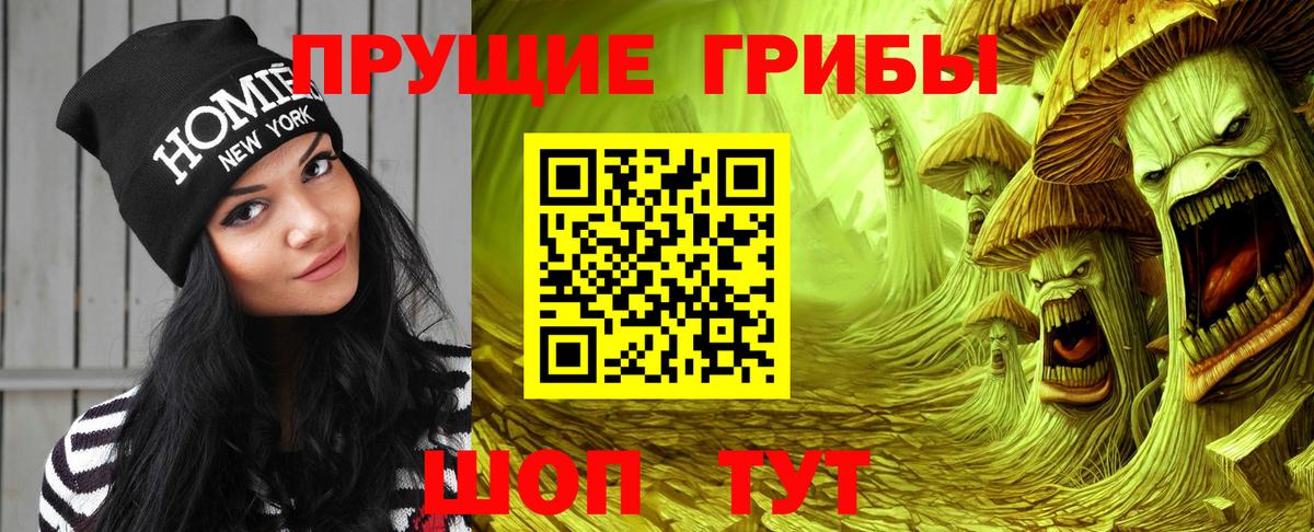 Галлюциногенные грибы прущие грибы Сургут