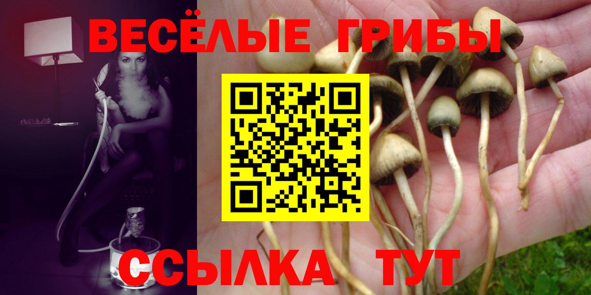 где продают наркотики  Вход с VPN  Сургут  Псилоцибиновые грибы Psilocybe 