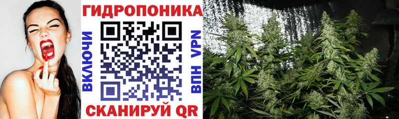 сколько стоит  Сургут  OMG ссылка  Шишки марихуана Ganja 