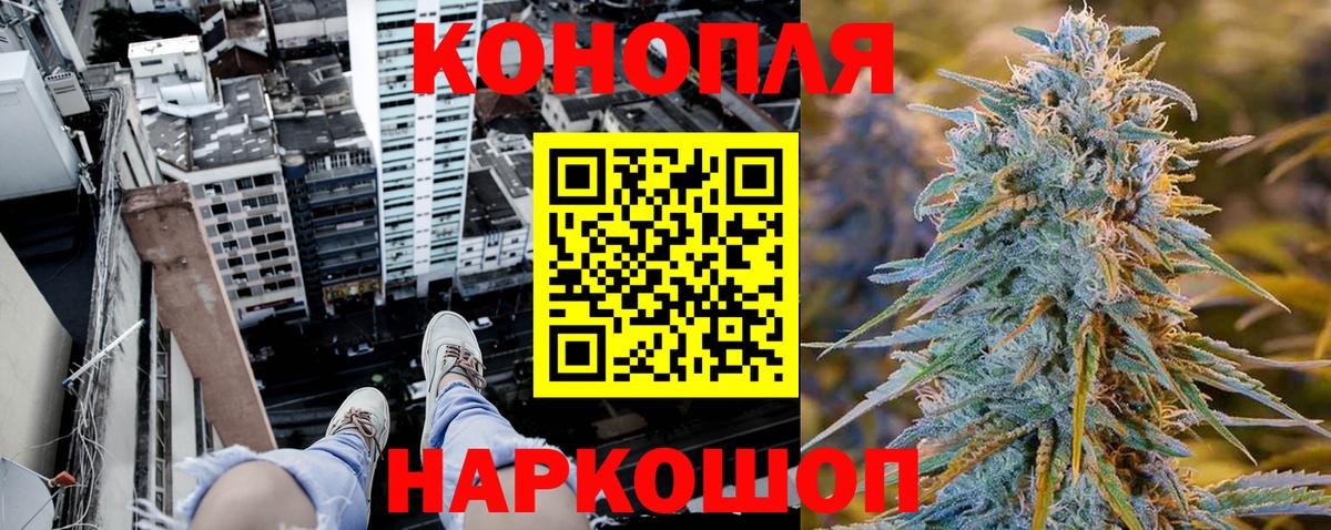 Конопля AK-47 Сургут